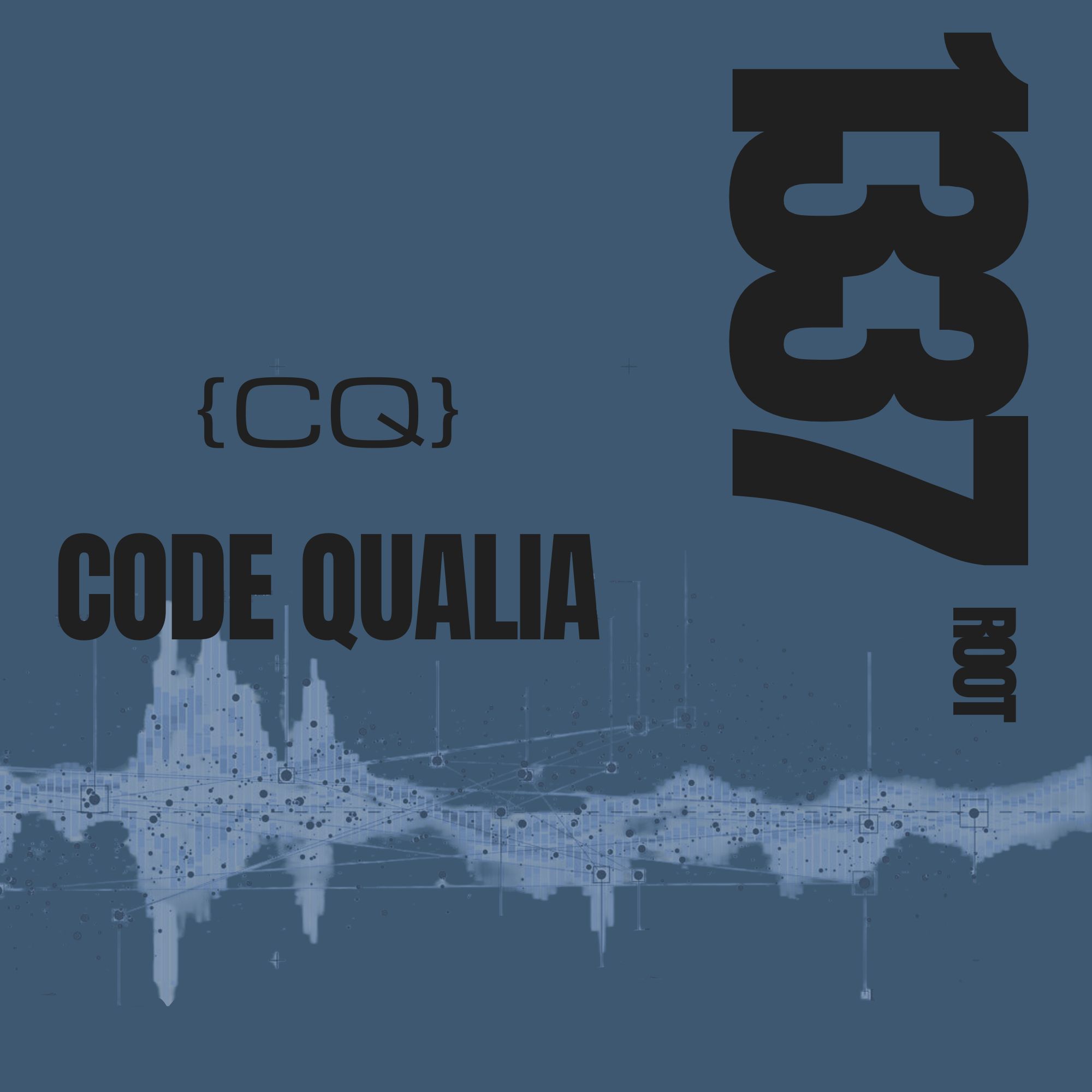 Code Qualia